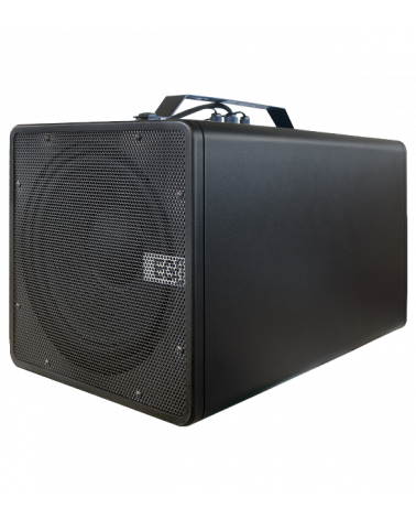 Pautas Corchete átomo Subwoofer activo de 10” con bluetooth y DSP de 100 W biamplificado 100V